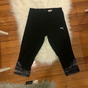 Puma capris